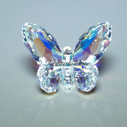 Vlinder Aurora Borealis
